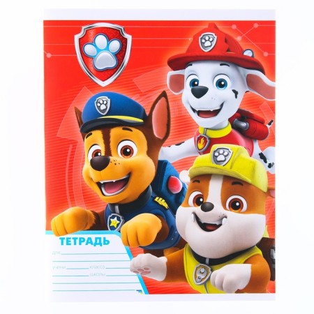Notebook in a ruler 18 sheets, 4 types of mix, cover coated paper, puppy patrol-5