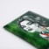 Cover for passport, green color