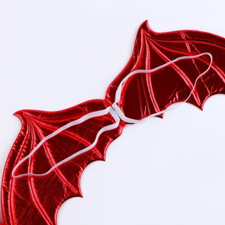 Carnival set "Winter Dragon", red color: wings, skirt and rim-10
