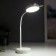Table sensory lamp 1523/1wt 30hLED 3W AKB USB 2 white modes 10x10x41 cm Risalux