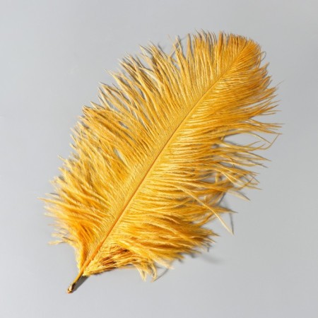 Feather of ostrich 25-30 cm, gold-1