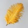 Feather of ostrich 25-30 cm, gold