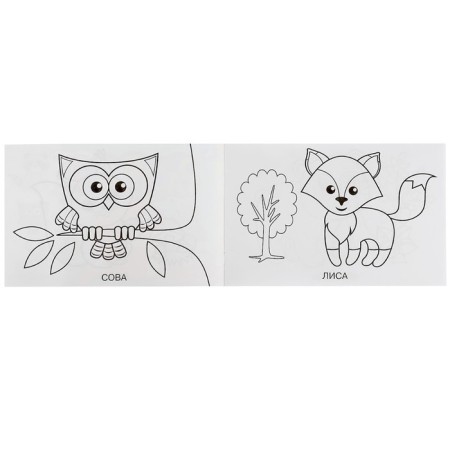 Coloring "Forest animals", 8 pages-2