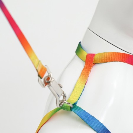 A set for cats "Rainbow", width 1 cm, Osh 16.5-27, OG 21-35 cm, leash 120 cm-3