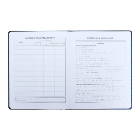 School diary for grades 1-11 "sneakers", firm covering with artificial leather foam, metal cutters, 48 ​​sheets, an offset block 80g/m2, universal cheat sheet-8