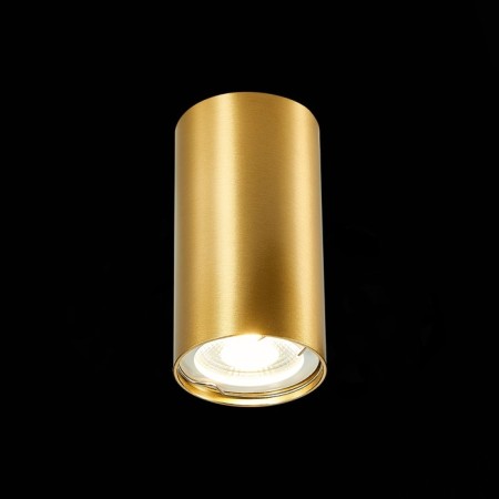Ceiling lamp ST LUCE. ST110.207.01. 1x50 W, GU10, 5.4x5.4x10 cm, golden color-1