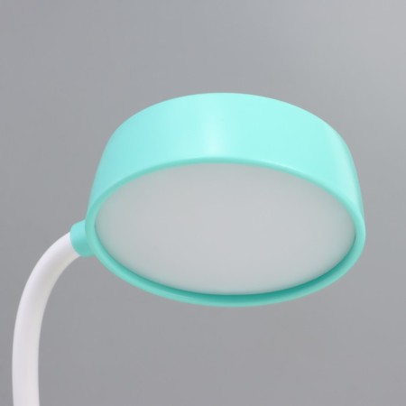 Sensor lamp with a pineapple plant LED, from USB/AKB 6 W, yellow-green 8x6x25 cm Risalux 10-7