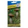 MICELIE Mushroom EVENT, 50 ml