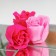Soap roses, fuchsia and pink, set 4 pcs.