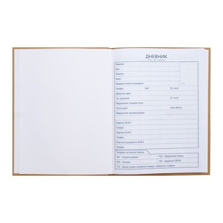 School diary for grades 1-11 "Stranger", integral cover, matte lamination, 40 sheets-3