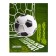 Universal diary for grades 1-11, "football", solid cover 7BC, glossy lamination, 40 sheets