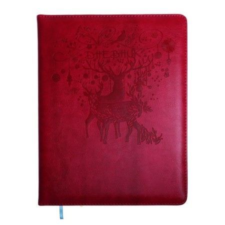 School diary, grade 5-11, PVC Oleni, raspberry