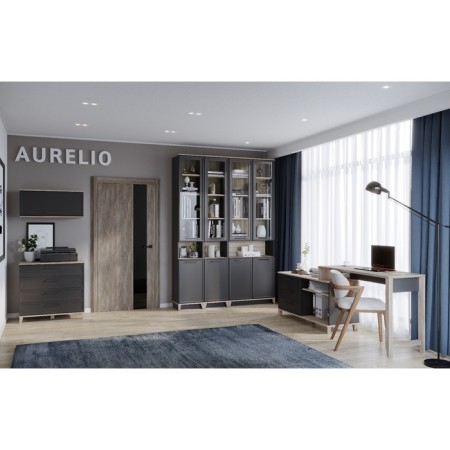 Cabinet hinged Aurelio 4, 800 × 355 × 362 mm, color Anthracite / Blackwood satin-3
