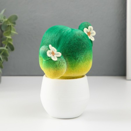 Growing gift Eco -Zhizhivchik "Cactus in a pot" mix-4
