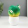 Growing gift Eco -Zhizhivchik "Cactus in a pot" mix