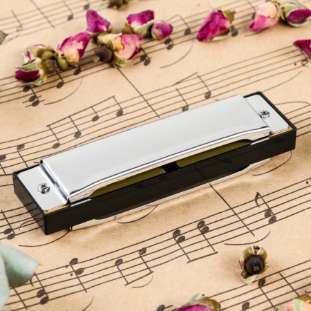 Music Life T10-3 Harly Diatonic, 10 holes, with a case-2
