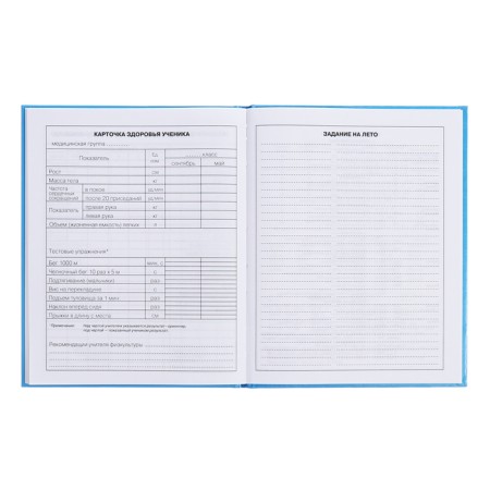 Diary for grades 5-11, 48 sheets "Inspiration!", Firm cover, glossy lamination, block 60 g/m2-11