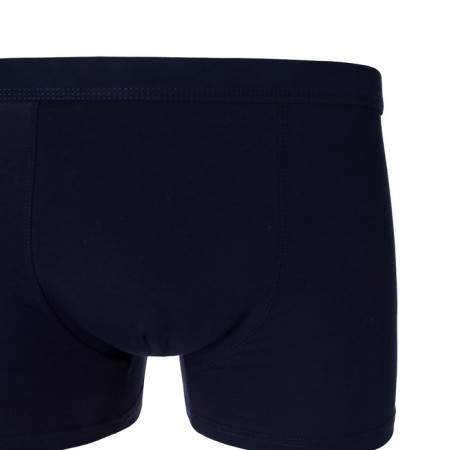 Panties boxers are male, blue is blue, size 48-50-7