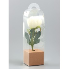 Box for mini bouquets 28 x 8 x 8 cm, craft