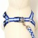 Set "braid", fluorescent, leash 115 x 1 cm, og 32-48 x 1.5 cm, blue