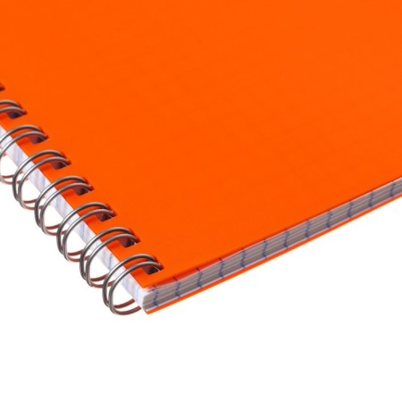 Notebook on the crest A4 48 sheets in the Calligrata cell orange, plastic cover, offset block-2