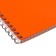 Notebook on the crest A4 48 sheets in the Calligrata cell orange, plastic cover, offset block