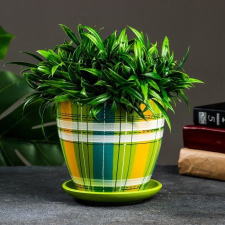 Flower pot "English cage" multi -colored, 1.4 liters