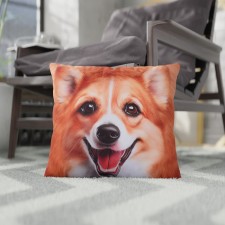 Decorative pillow 
