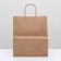 Craft package without printing, round handle 24 x 14 x 28 cm
