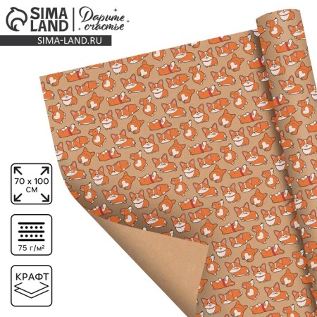 Package Crafts "Corgi", 70 x 100 cm