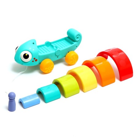 Developing catka "Rainbow chameleon"-3