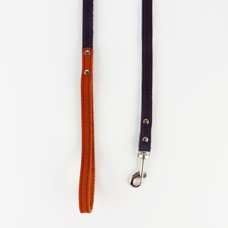 Set: collar (36-56x2.5 cm) and leash (130x1.5 cm), beige and blue color-4