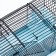 Mini cell for rodents "Pijon" No. 2, equipped, 27 x 15 x 16 cm, turquoise