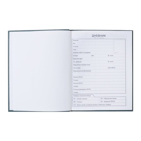 Diary solid cover 1-11 grade, Girl Power, metallic, selective varnish, 40 sheets-5