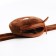 Lightning purse, brown color