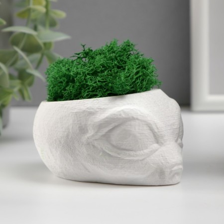 Kashpo concrete "alien" height 5 cm, diameter 6 cm white with moss (moss green. Stabilizir)-2