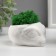 Kashpo concrete "alien" height 5 cm, diameter 6 cm white with moss (moss green. Stabilizir)