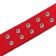 Four-layer collar with a swivel, 80 x 4.9 cm, Osh 64-74 cm, polyester, red