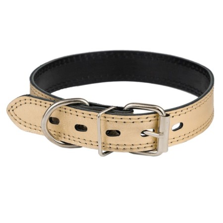 Collar leather two-layer, width 3 cm, Osh 45-55 cm, gold
