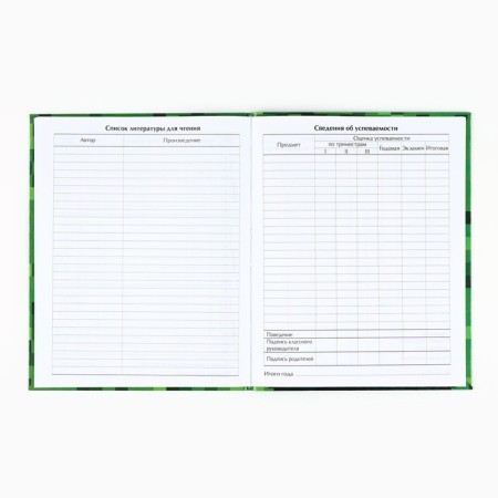 School diary for grade 1-11, in an integrated cover, 40 liters. "Minecraft"-3