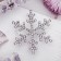 Brooch "Snowflake", white color in silver