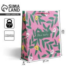 Gift laminated package, packaging, for you, ml 21 x 25 x 8 cm