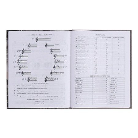 Diary for a music school, 48 sheets, hard cover, matte lamination, selective varnish, with reference information, block 60g/m2-13