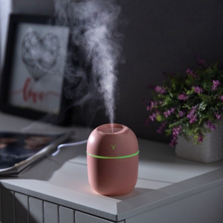 Moisturizer Luazon HM-20 ultrasound, 0.22 l, 1.5 W, USB in the set., Pink