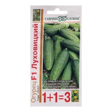 Seeds of cucumber 