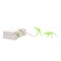 Board game "Excavations. Set of young paleontologist ", 5 dinosaurs