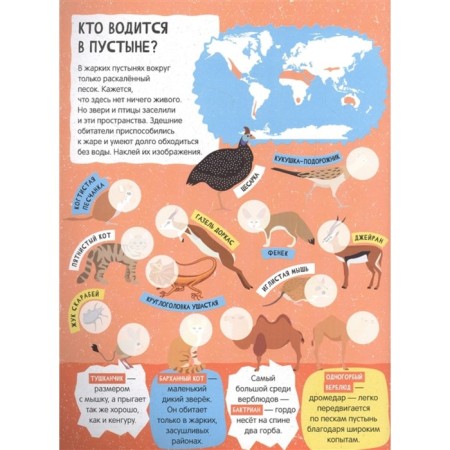 Large atlas of the animal world for children-1