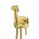LEMARK SOLO LM7165G bidetor, single -leaf, without spout, watering can, gold