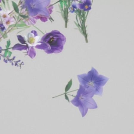 Plastic stickers "Spring flowers. Lilac" set 40 pcs 15x8 cm-2