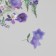 Plastic stickers "Spring flowers. Lilac" set 40 pcs 15x8 cm